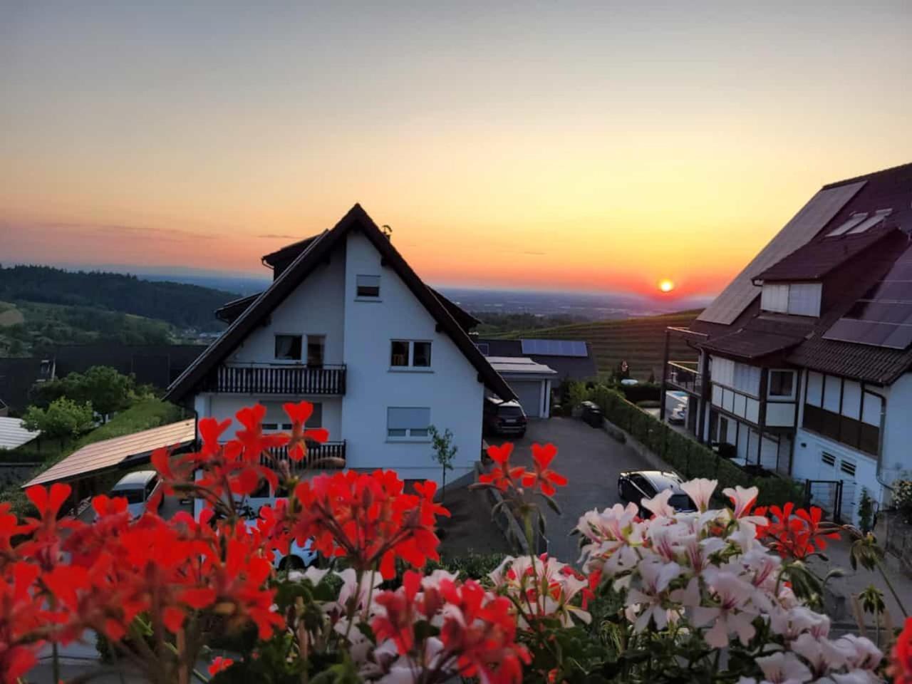 Renatas Ferienwohnung Засбахвальден Экстерьер фото